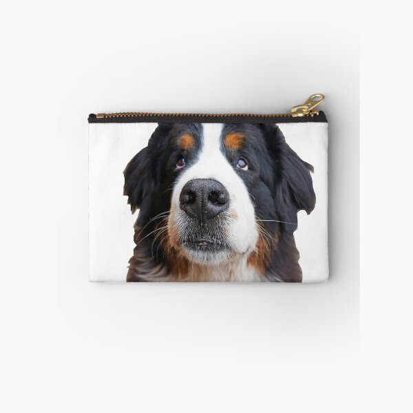 Item preview, Close up of Bernese Mountain Dog  designed and sold by AlbertandOlly.