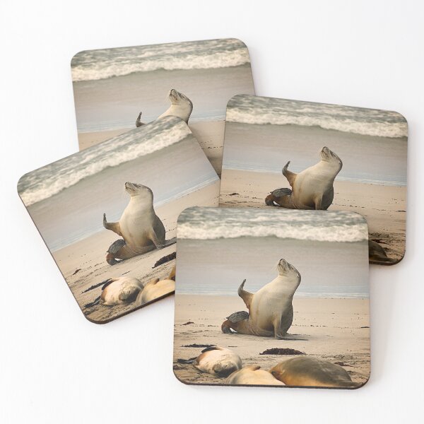 Item preview, Sea lion waving designed and sold by PET-SHIRTS.