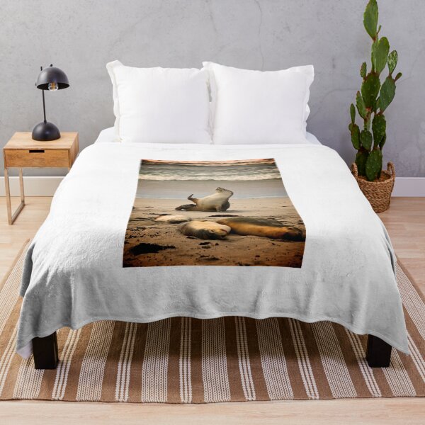 Item preview, Sea lion waving designed and sold by PET-SHIRTS.