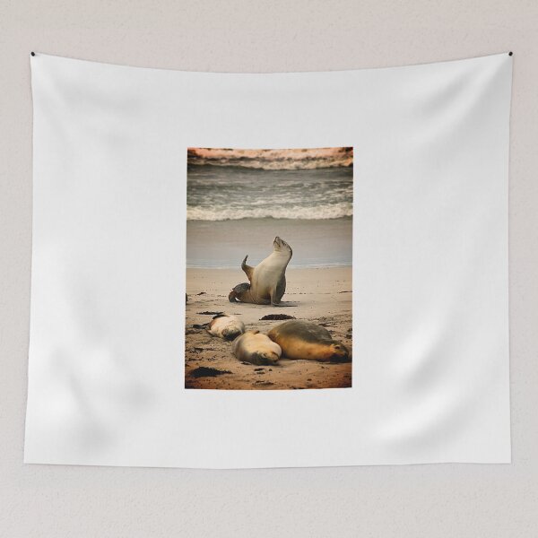 Item preview, Sea lion waving designed and sold by PET-SHIRTS.