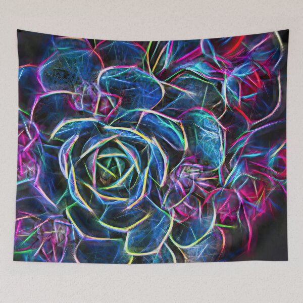 Item preview, ghost echeveria – mexican hens and chicks – echeveria lilacina ¦  designed and sold by nature. electrified..