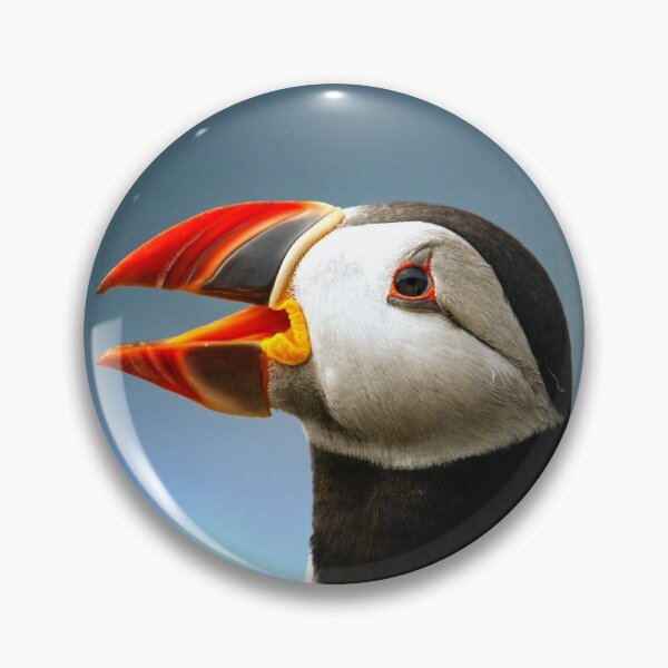 Item preview, Black atlantic puffin designed and sold by PET-SHIRTS.