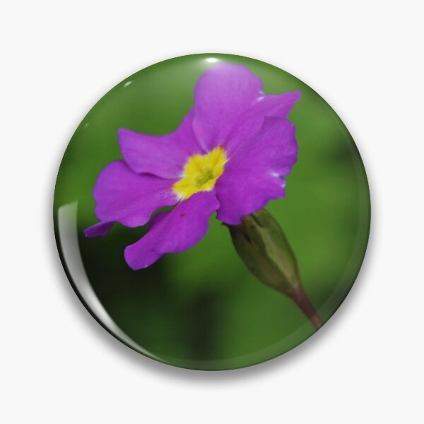 Item preview, The Beauty Of Nature designed and sold by Mark.I.F Jarvis.