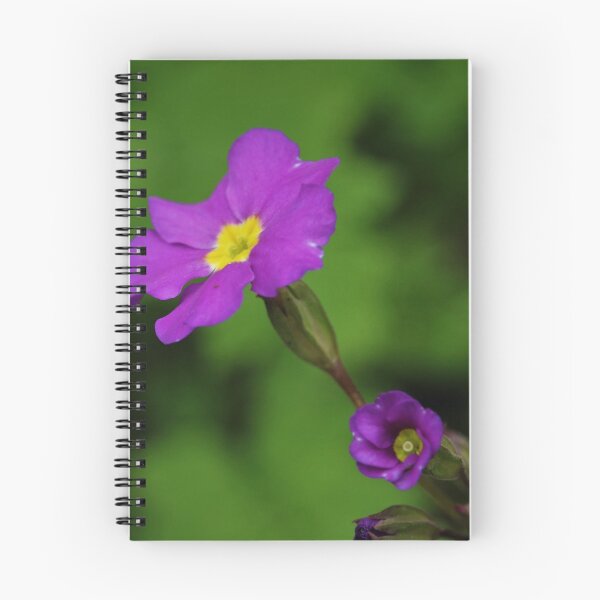 Item preview, The Beauty Of Nature designed and sold by Mark.I.F Jarvis.