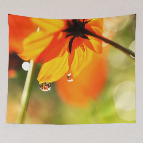 Item preview, A Quiet Evening designed and sold by JoaoAlmeidaShop.