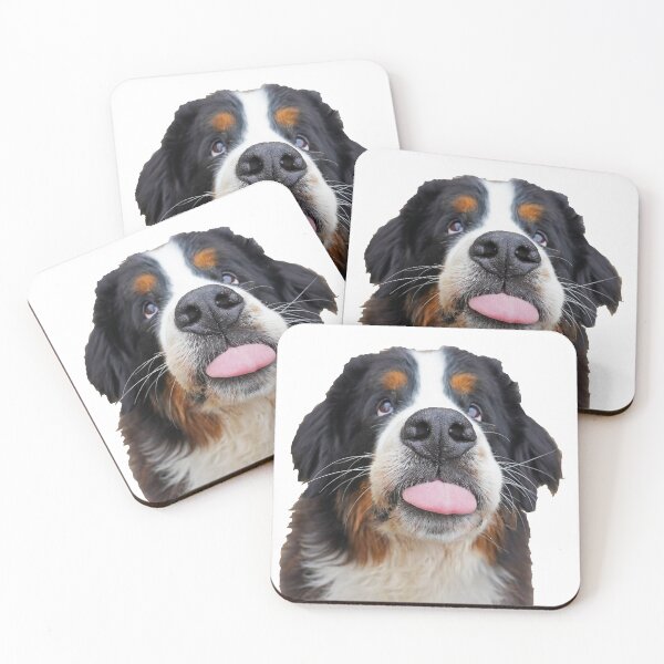 Item preview, Bernese Mountain Dog sticking his tongue out  designed and sold by AlbertandOlly.