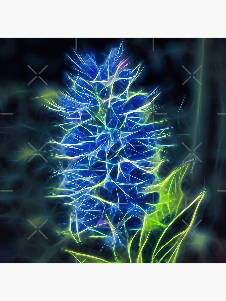 viper's bugloss – blueweed – echium vulgare ¦ by nature-electrif