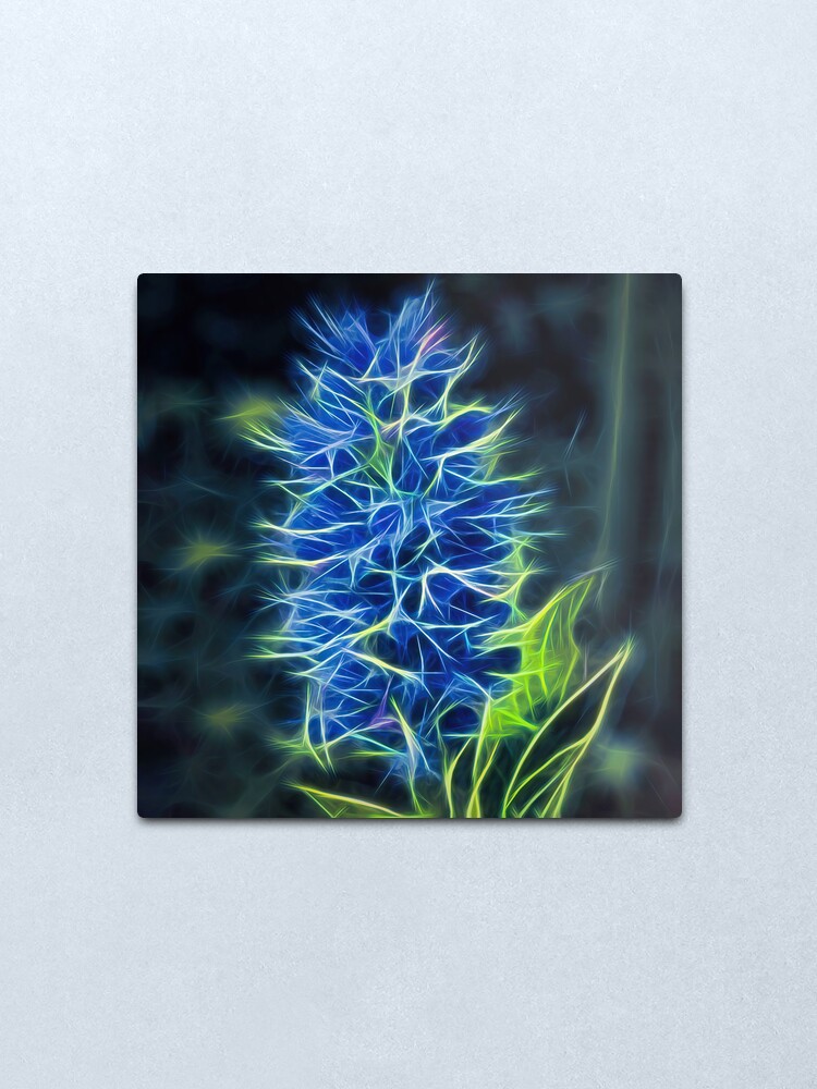 Alternate view of viper's bugloss – blueweed – echium vulgare ¦ Metal Print