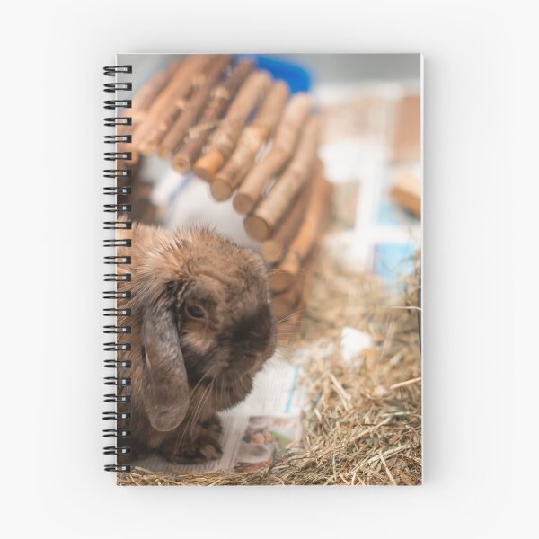 Item preview, Cute lop eared rabbit in its cage designed and sold by yackers1.