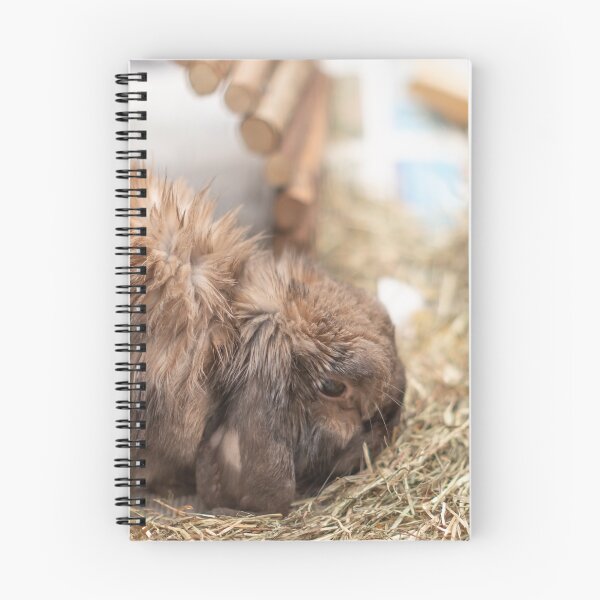 Item preview, Cute lop eared bunny rabbit eating hay in its cage designed and sold by yackers1.