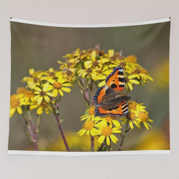 Item preview,  Tortoiseshell Butterfly in September sunshine designed and sold by Violaman.