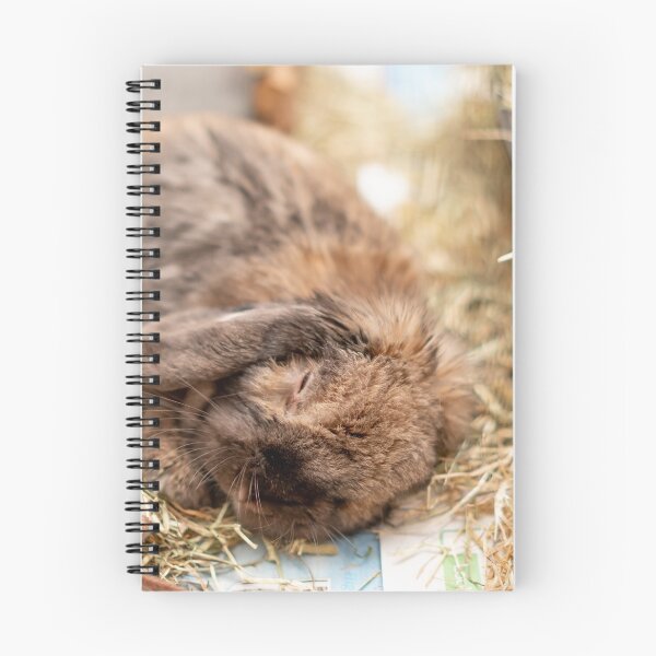 Item preview, Cute lop eared bunny rabbit asleep in its cage designed and sold by yackers1.