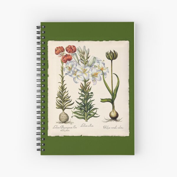 Cuaderno de espiral «Botanica Nostalgia II estudio botánico de plantas.» de  Glimmersmith | Redbubble