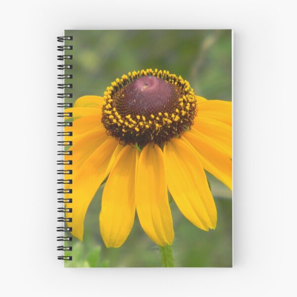 Item preview, Coreopsis or Brown Eyed Susan? designed and sold by Navigator.