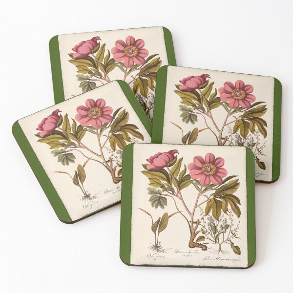 Item preview, Botanica Nostalgia IV plant botanical study designed and sold by Glimmersmith.