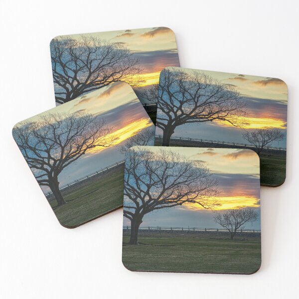 Item preview, Bare Trees Early to Rise designed and sold by ShorelineImages.