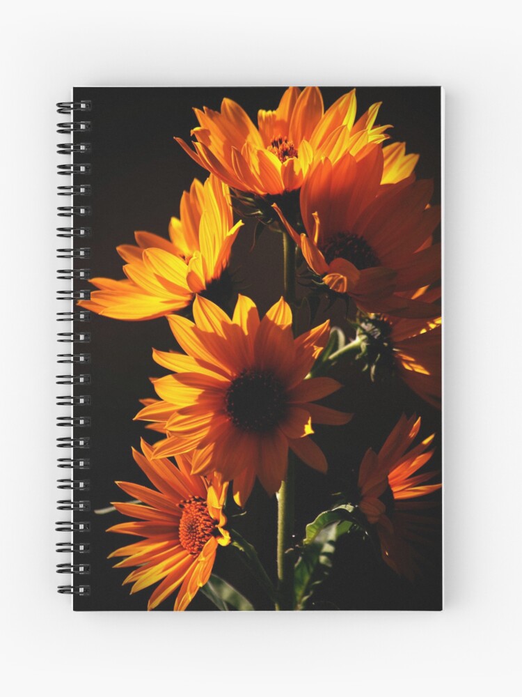 Cuaderno de espiral «Girasoles de Maximiliano» de photoclique | Redbubble