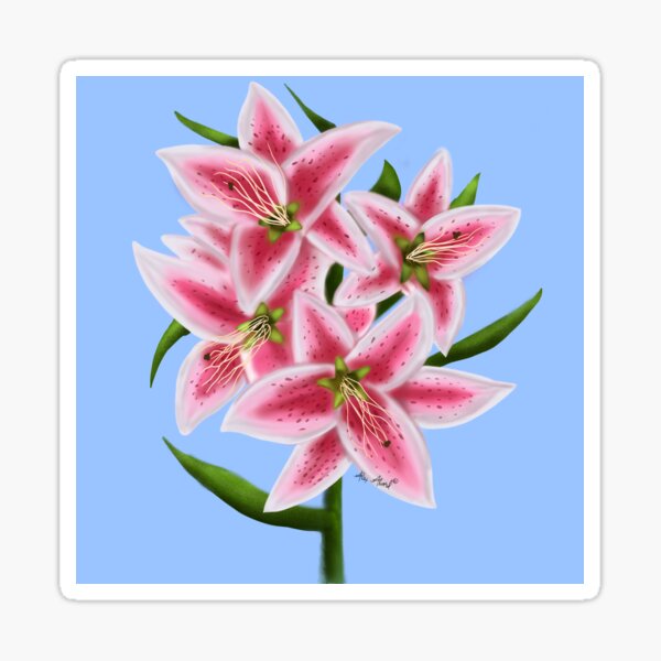 Jenna’s Lillies Sticker