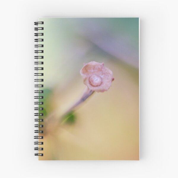 Artikelvorschau, Repetobasidiaceae Pilze entworfen und verkauft von Efineart.