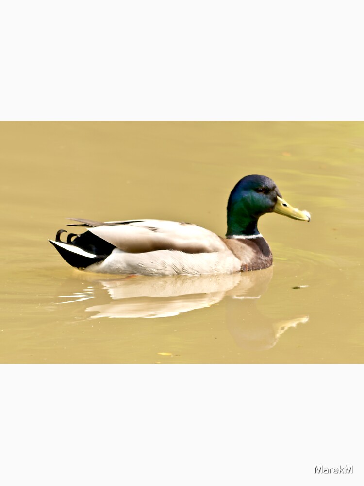 Discover マガモ メンズ レディース パーカー アニマル 動物 可愛い Anas platyrhynchos Mallard Duck