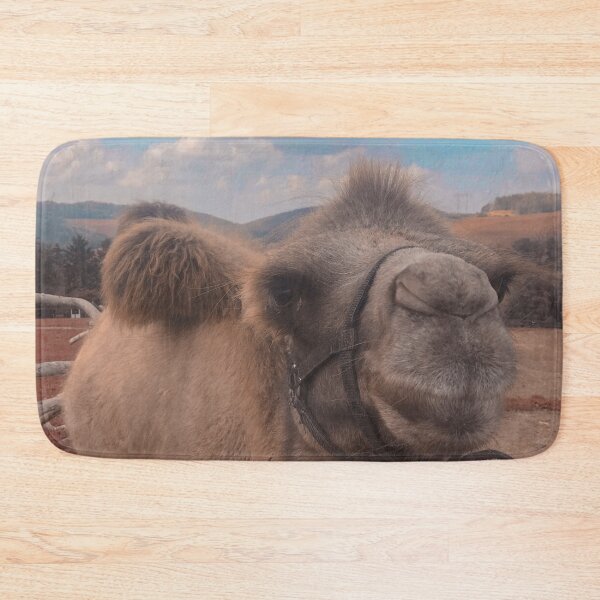 Item preview, Cute camel at nature photo design designed and sold by Barolina.
