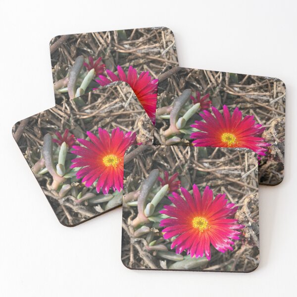 Item preview, Vibrant Fuchsia flower in the brush designed and sold by SunnyDesignsCo.
