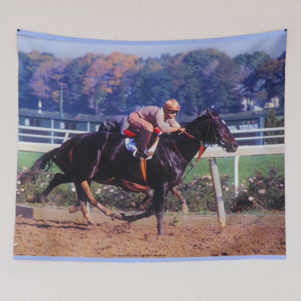 Artikelvorschau, DONNA auf dem BELMONT MAIN TRACK c2021 Steve Yellowbear Fine Art entworfen und verkauft von SteveYellowbear.