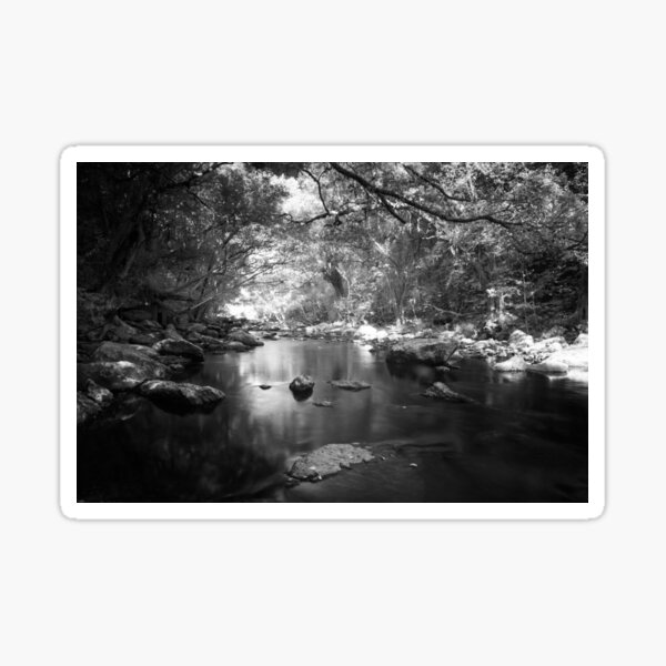 Freshwater Creek Sticker