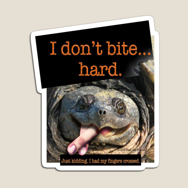 Snapping Turtle - I don't bite hard. Just kidding. I had my fingers crossed. Magnet