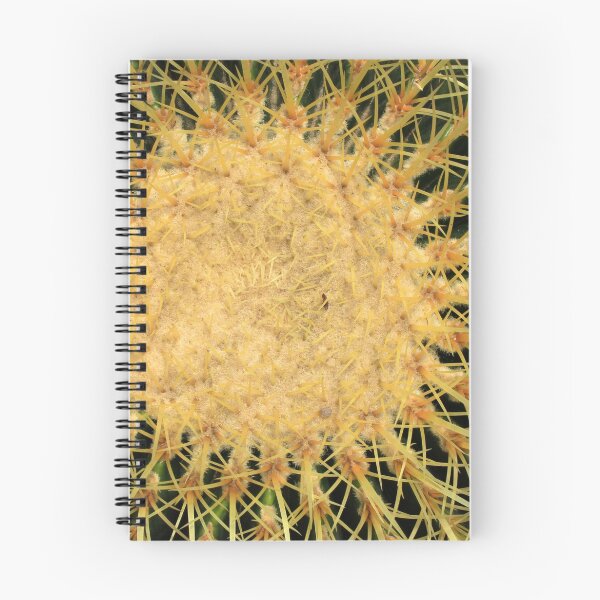 Item preview, Spines on a Cactus designed and sold by rhamm.