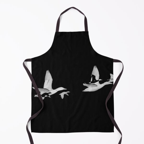 Aperçu de l'œuvre Canards noirs et blancs créée et vendue par silverwheelarts.