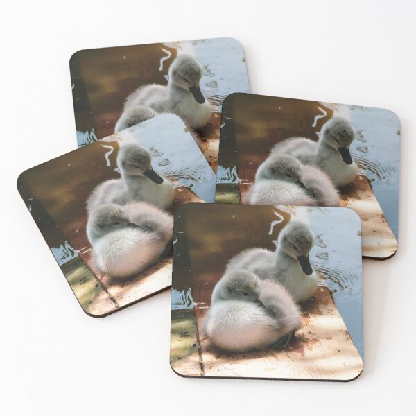 Item preview, Cygnets designed and sold by samanthagarrett.