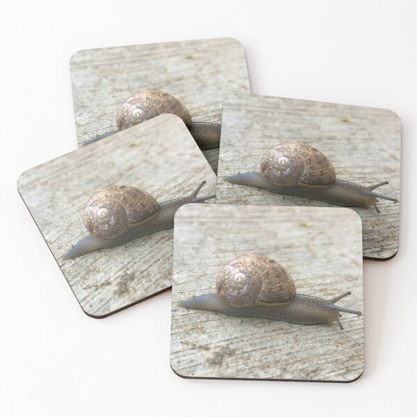 Aperçu de l'œuvre Escargot créée et vendue par SunnyDesignsCo.