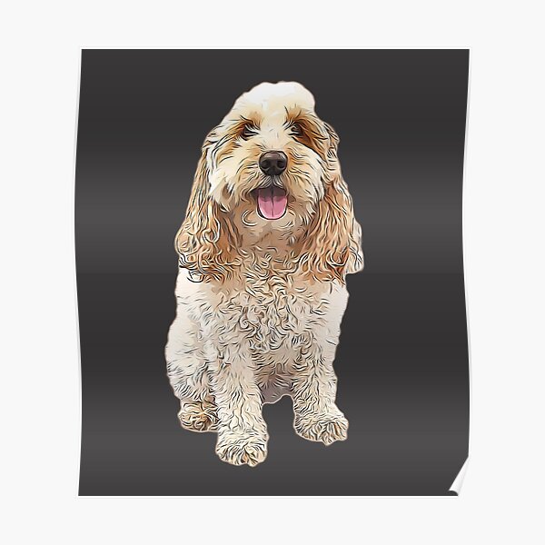 Poster Cockerpoo Redbubble