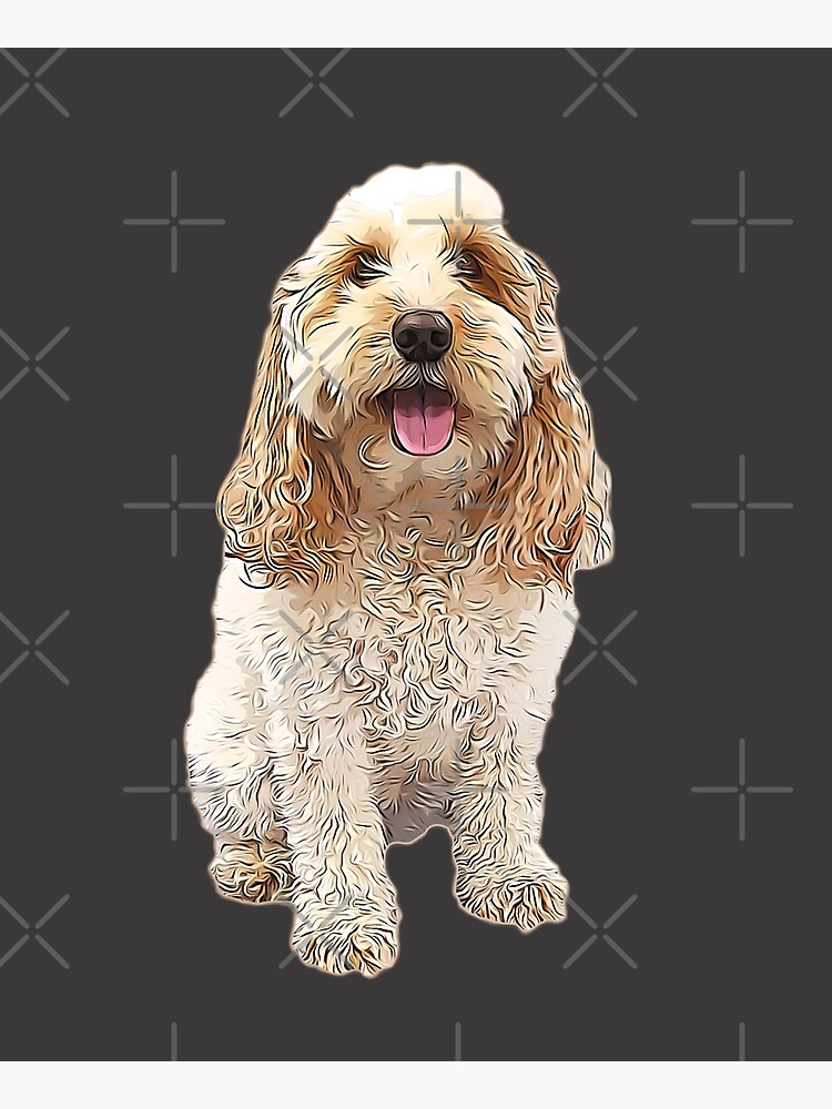 Cockapoo Cockerpoo Cutie Doodle Dog by ElegantCat