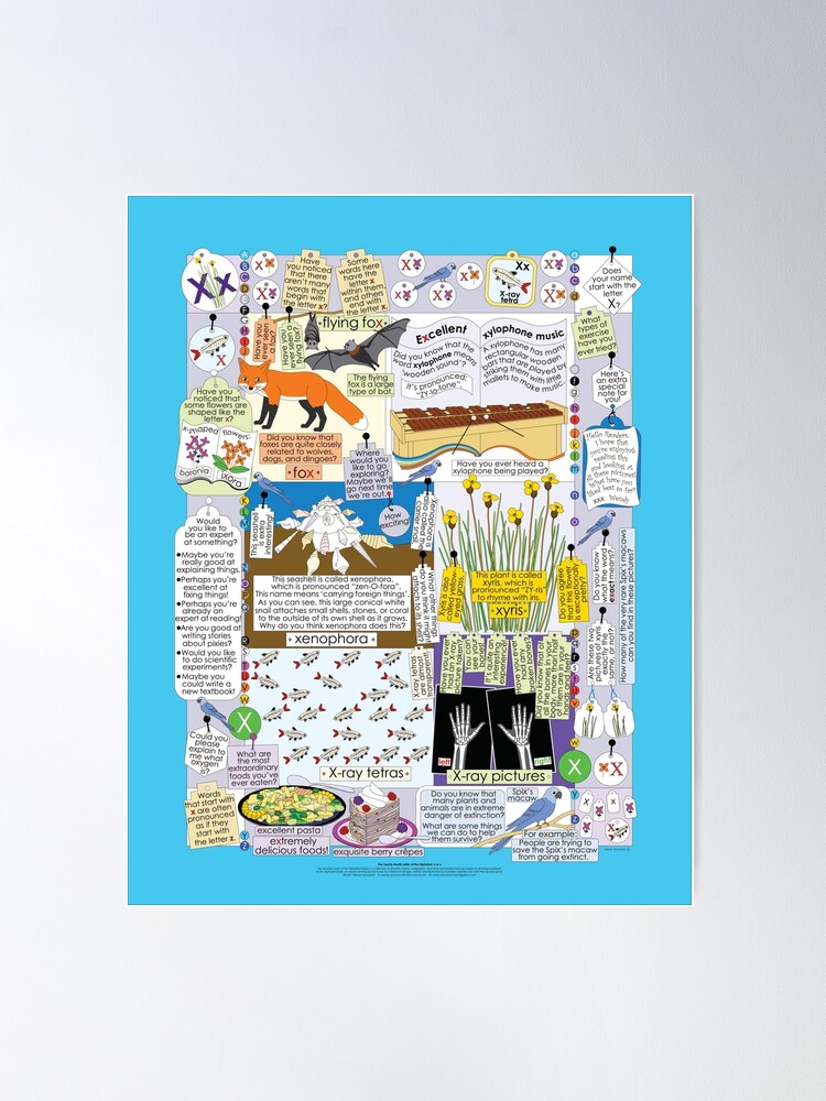 Alternate view of The Twenty-fourth Letter of the Alphabet: X or x Poster