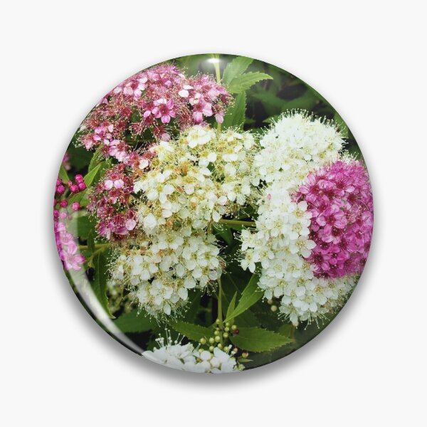 Item preview, Spirea Blooms designed and sold by CJGrimes.