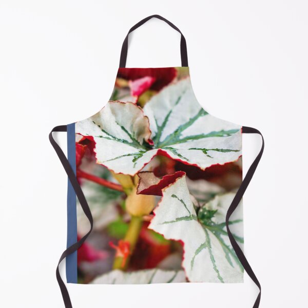 Item preview, Begonia Looking Glass leaf designed and sold by Carolyn's Captures - Original Photohgraphy.