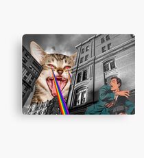 Lienzo metálico EL GATO SE DUELE