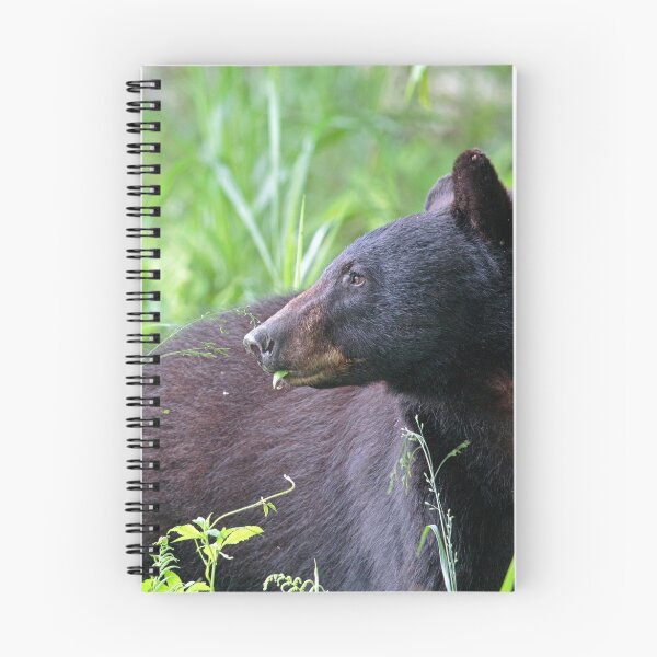 Item preview, Black Bear Munching on Plants designed and sold by WorldDesign.