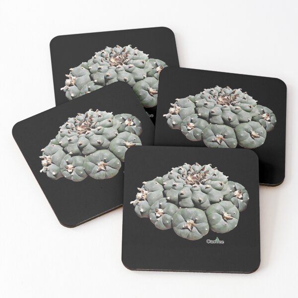 Item preview, Lophophora Williamsii - The Peyote designed and sold by Cactee.
