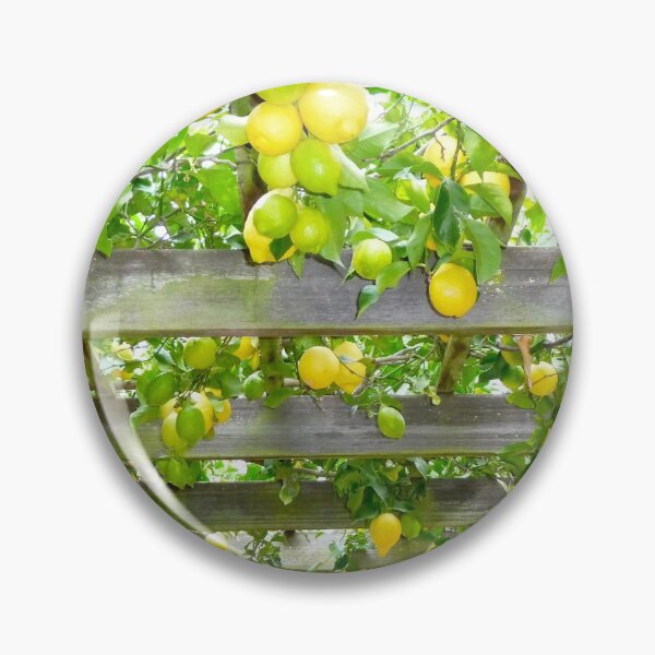 Item preview, Lemon grove! designed and sold by LMHVAN.