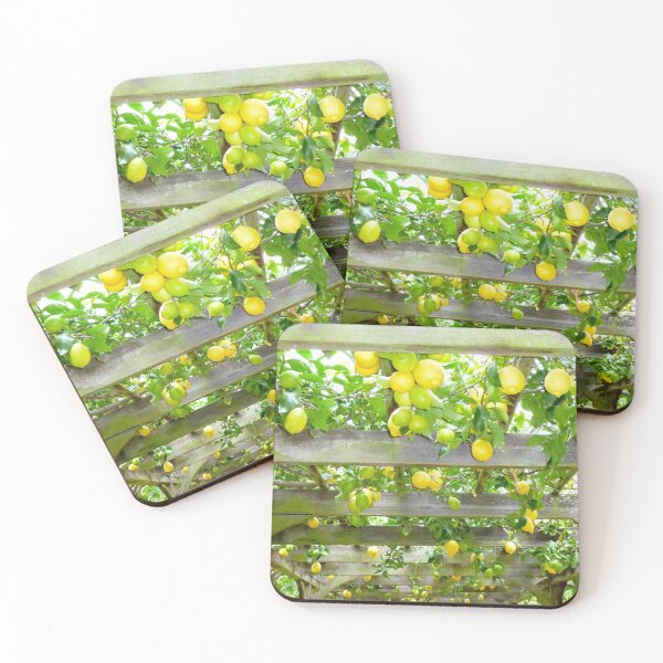 Item preview, Lemon grove! designed and sold by LMHVAN.