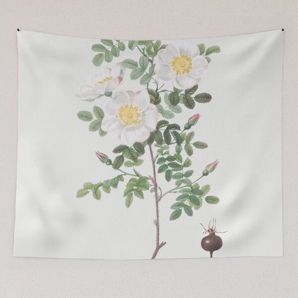 Item preview, Les Roses by Pierre-Joseph Redouté designed and sold by EsotericBotanic.