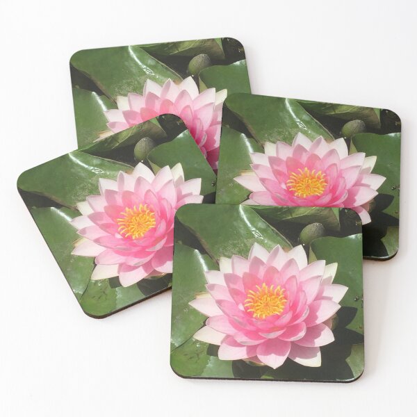 Item preview, Water lily beauty designed and sold by LMHVAN.