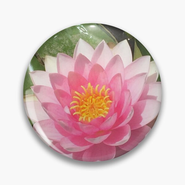Item preview, Water lily beauty designed and sold by LMHVAN.