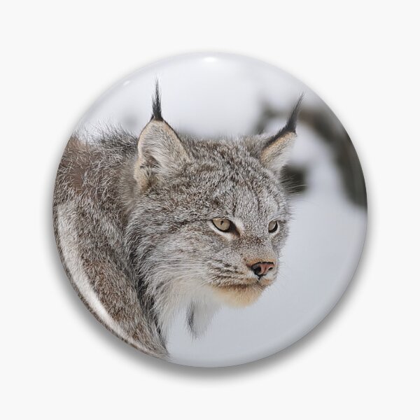 Item preview, Canada Lynx designed and sold by mlorenz.