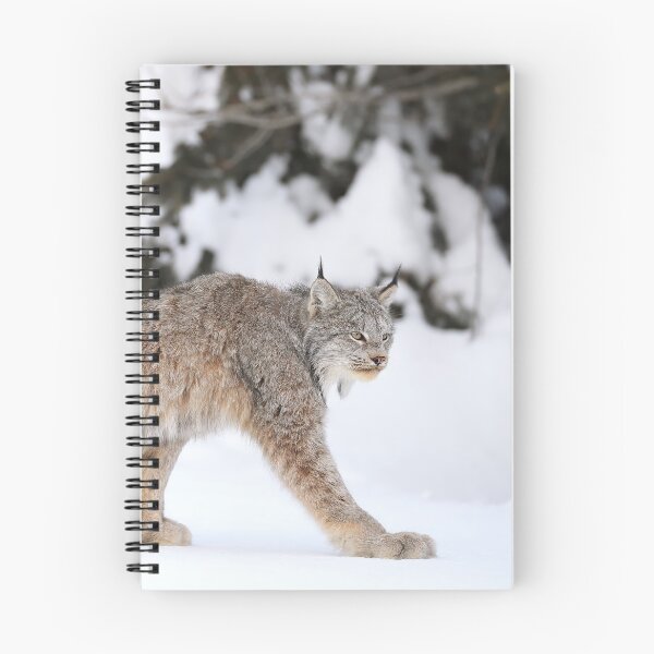Item preview, Canada Lynx designed and sold by mlorenz.