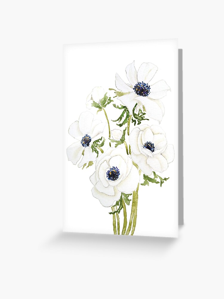 Tarjetas de felicitación «pintura de acuarela de flor de anémona blanca» de  ColorandColor | Redbubble