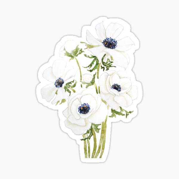 Anemone Stickers for Sale | Redbubble